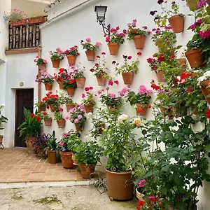 Amal Casa De Huespedes Apartamento